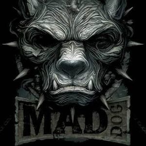 Meet your Posher, Pedro